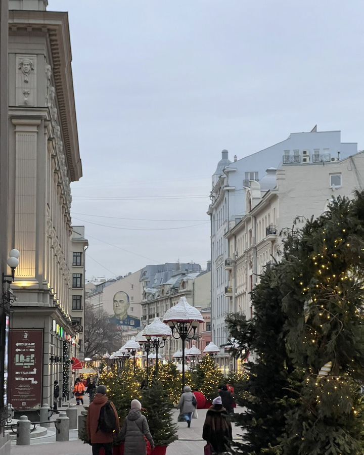 квартира г Москва метро Смоленская наб Смоленская 5/13 муниципальный округ Арбат фото 40