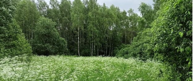 земля д Новинки фото