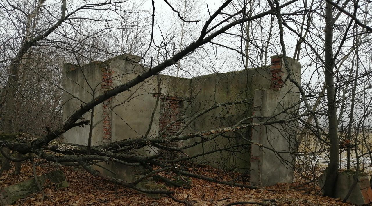 офис г Кашира д Руднево 33/1 фото 1