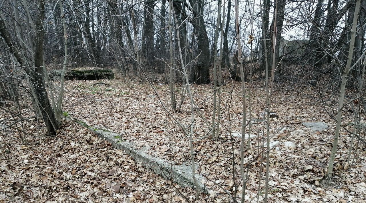 офис г Кашира д Руднево 33/1 фото 2