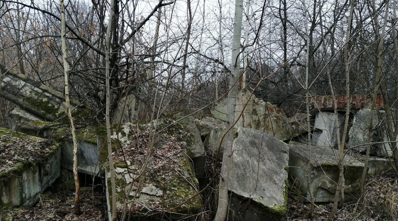 офис г Кашира д Руднево 33/1 фото 9