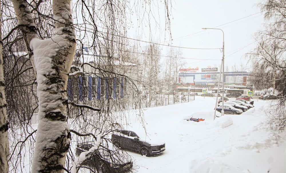 квартира г Нижневартовск ул Менделеева 24 Тюменская обл. фото 18