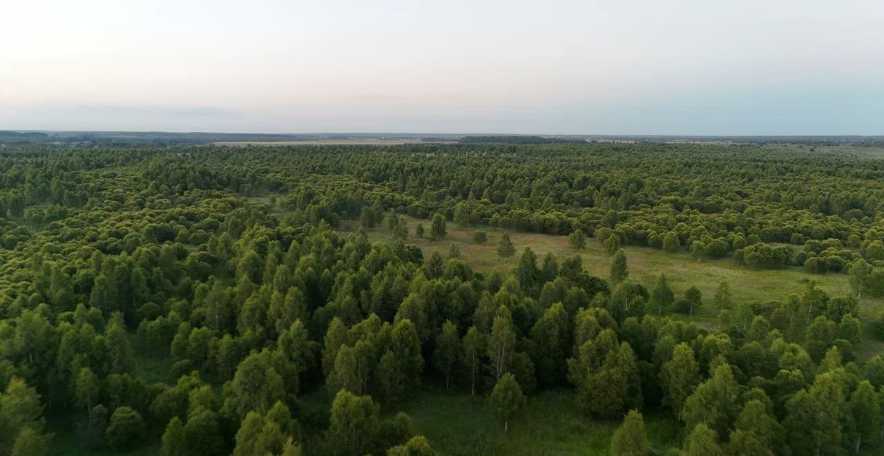 земля г Ступино 55 км, коттеджный пос. Макеево Вилладж, Михнево, Новокаширское шоссе фото 20