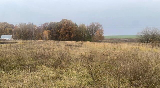 земля д Новоселки фото