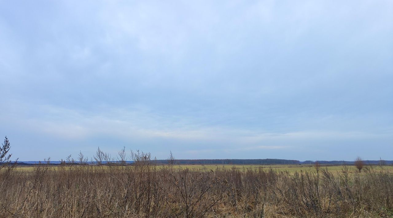 земля городской округ Раменский д Захариха Ипподром фото 3