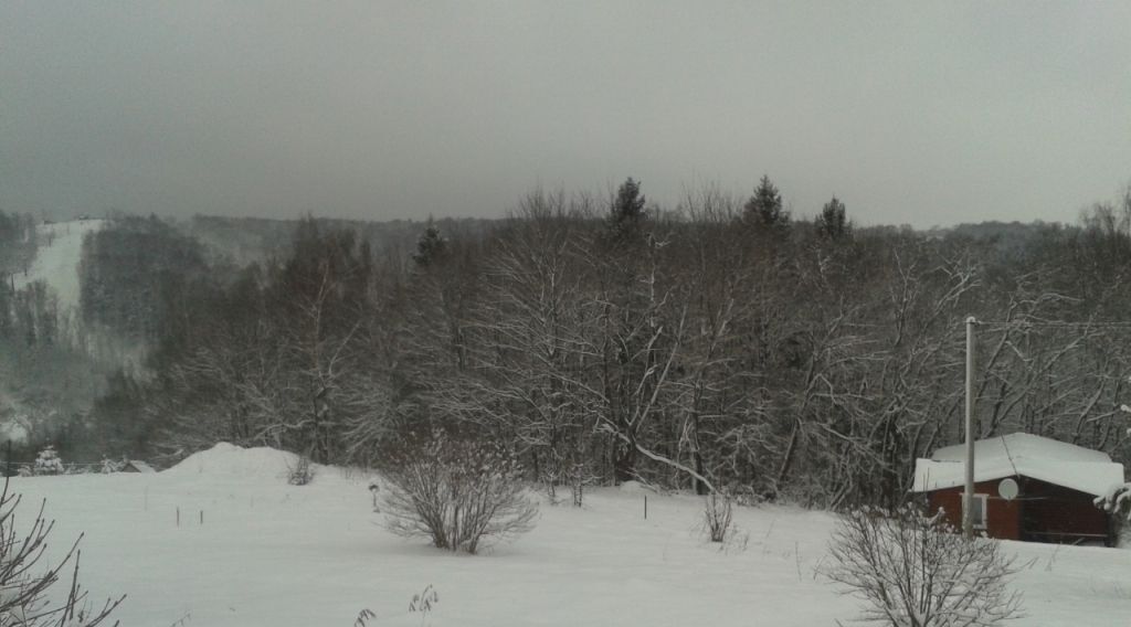 дом городской округ Дмитровский д Стреково фото 4