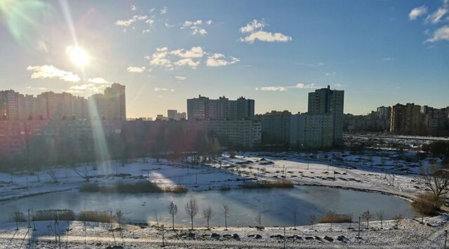 метро Проспект Славы пер Альпийский 9к/3 фото