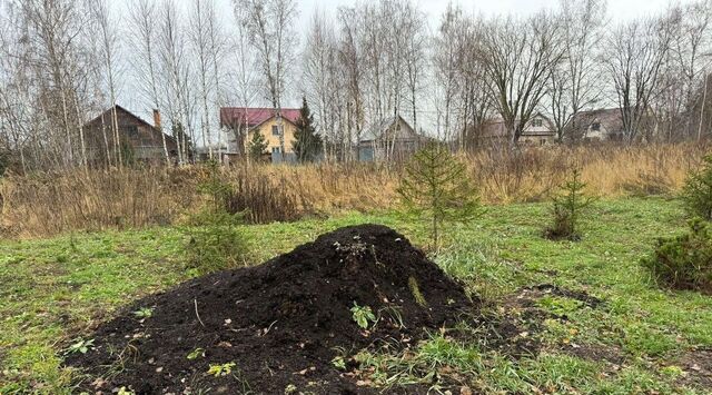 земля г Электроугли Железнодорожная, д. Большое Васильево фото