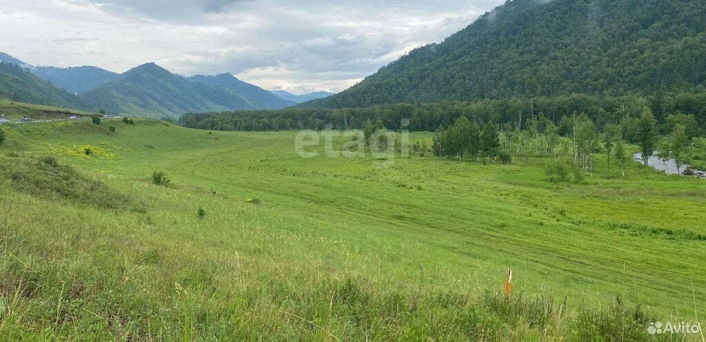 земля р-н Шебалинский с Мыюта Шебалинское сельское поселение фото 4