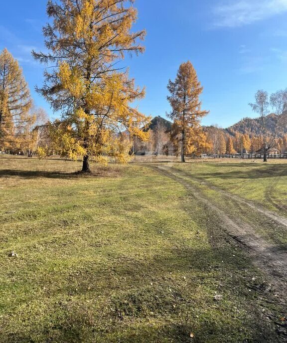 земля г Горно-Алтайск фото 4