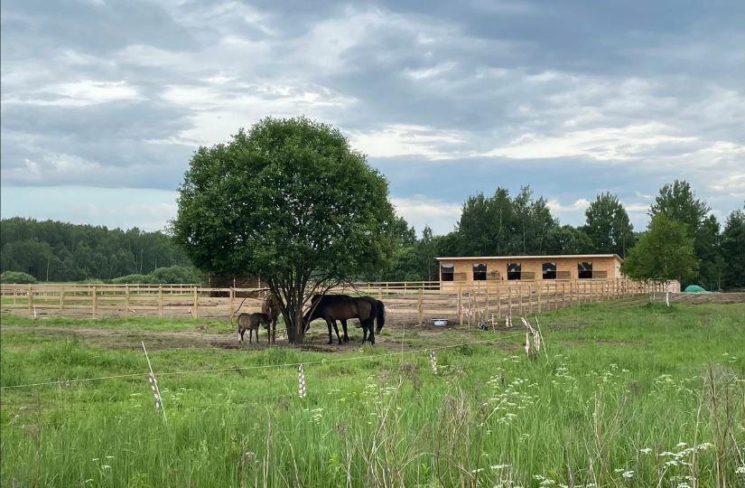 земля городской округ Ступино п Усады ул Усадовская 51 км, Михнево, Новокаширское шоссе фото 5