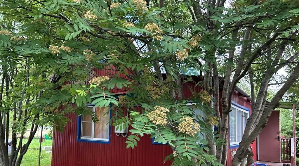 земля г Нижневартовск 25 фото 1