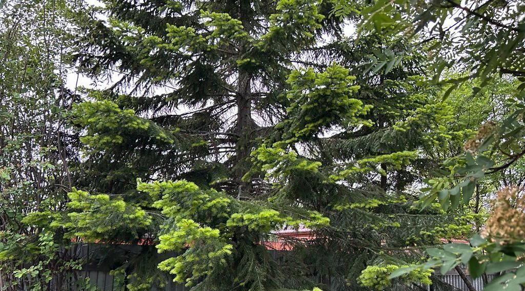 земля г Нижневартовск 25 фото 10
