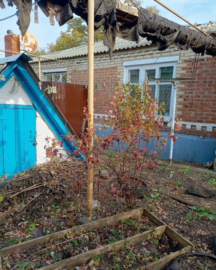 дом р-н Зерноградский х Большая Таловая ул Буденного 9а Большеталовское сельское поселение, Веселый фото 10