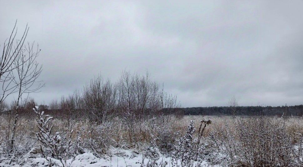 земля городской округ Дмитровский д Усть-Пристань фото 1