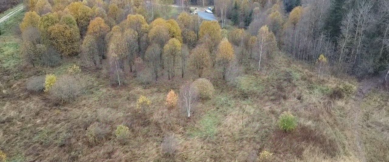 земля городской округ Волоколамский д Чернево фото 4