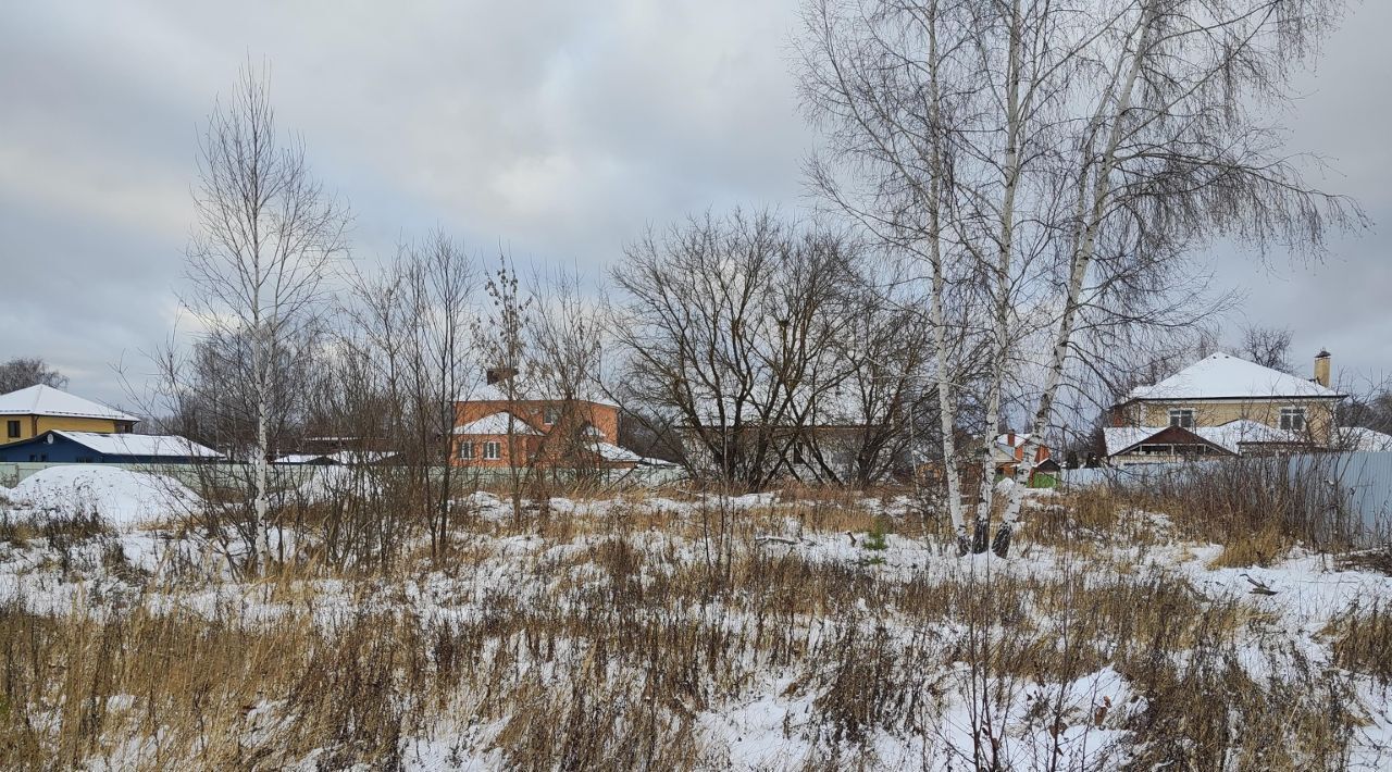 земля городской округ Орехово-Зуевский г Ликино-Дулёво ул 1-я Автозаводская фото 3