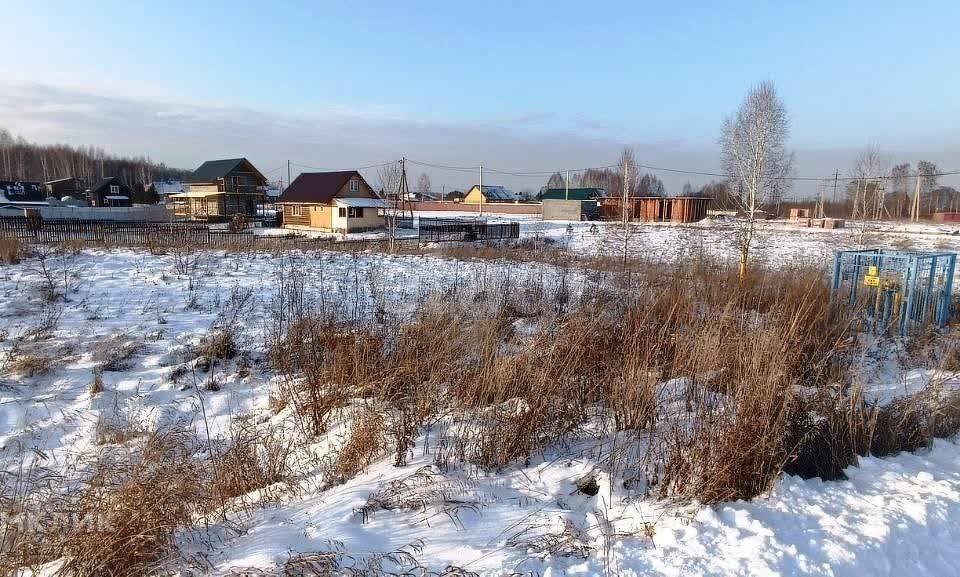 земля р-н Кемеровский с Березово Кемеровская область — Кузбасс, Лесная фото 2