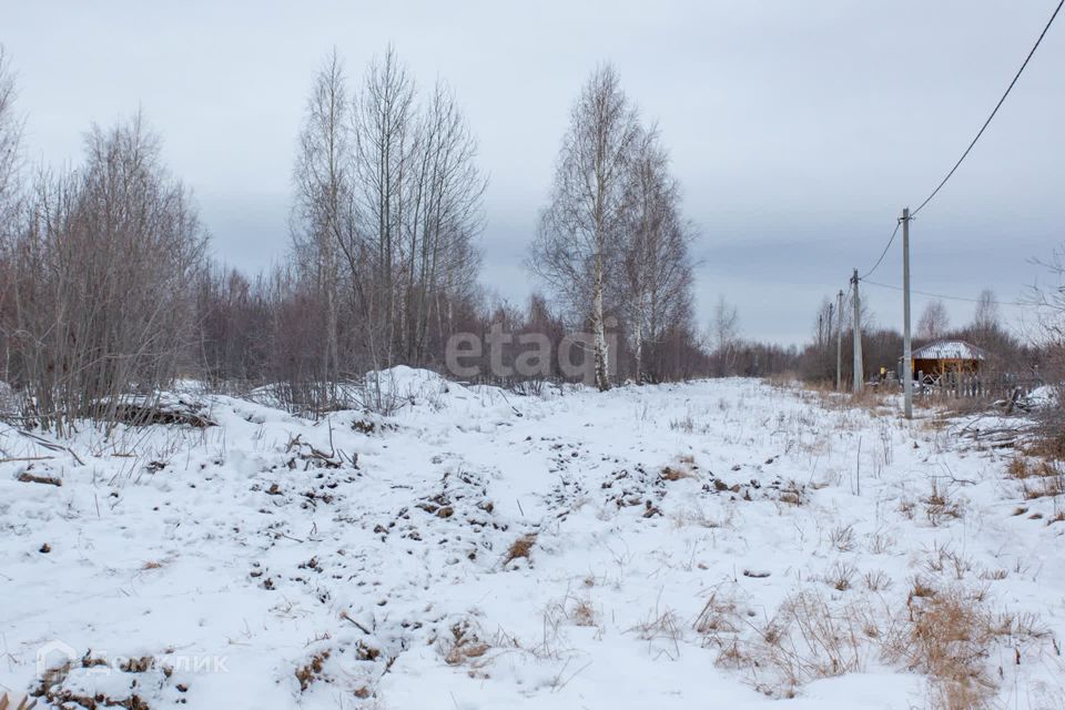 земля г Тобольск ул Ленина Тобольск городской округ фото 2