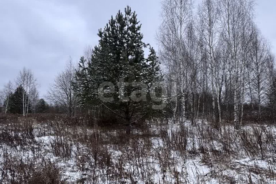 земля р-н Городецкий д. Чуркино фото 4