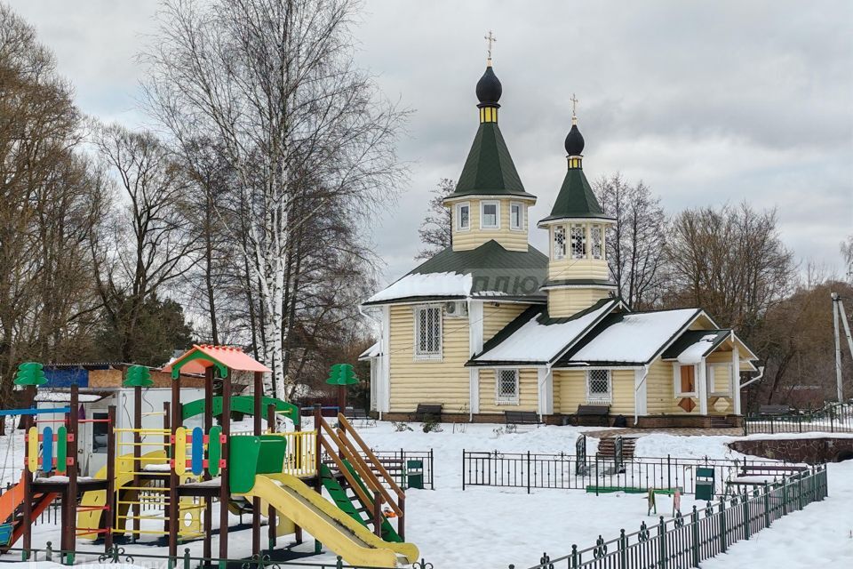 земля р-н Дзержинский д. Камельгино фото 3