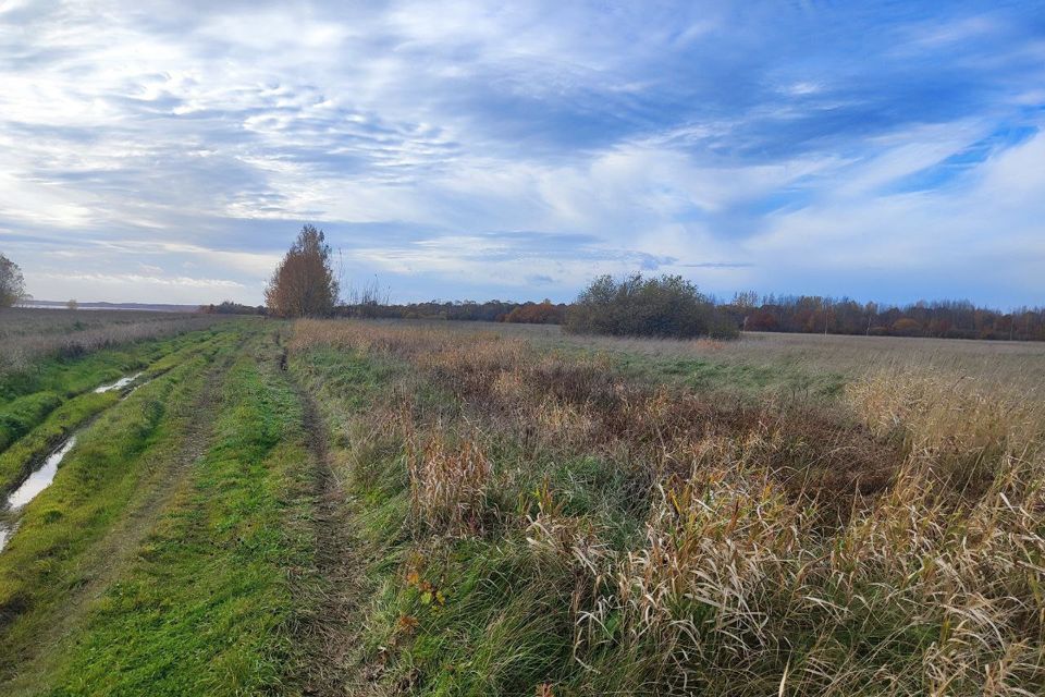 земля р-н Новгородский д. Дубровка Борковское сп фото 7