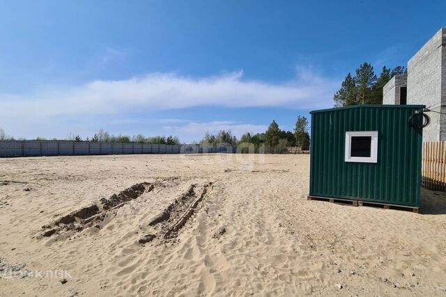 Сургут городской округ, ДНТ Тихий бор фото