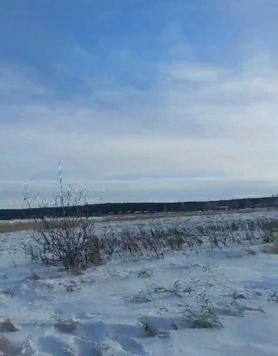 земля р-н Минусинский п Озеро Тагарское Лугавский сельсовет фото 4