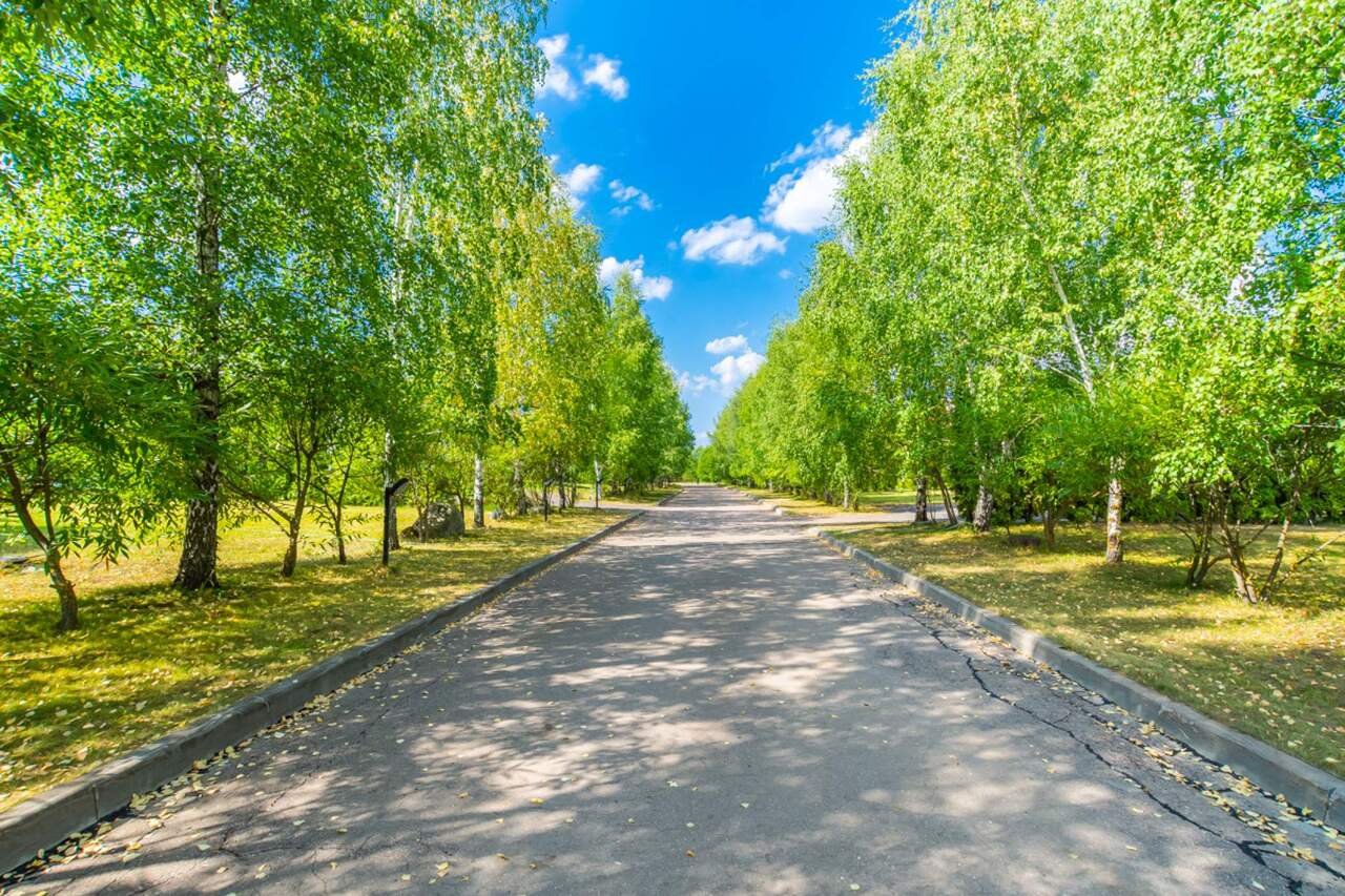 дом городской округ Дмитровский д Спас-Каменка д. С 8, Дмитровское шоссе фото 12