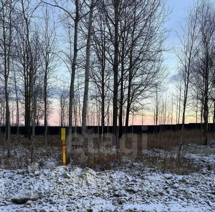 земля г Павловск р-н Пушкинский Павлов Скай кп фото 7