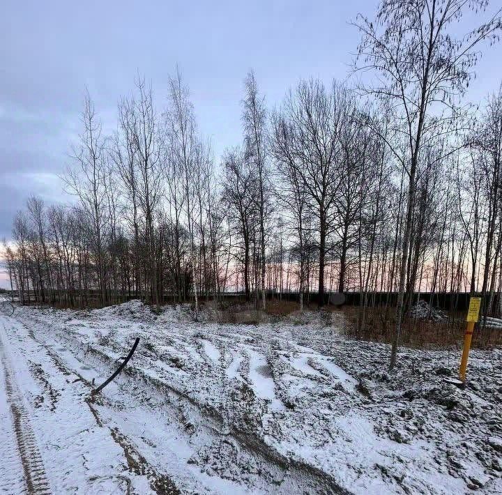 земля г Павловск р-н Пушкинский Павлов Скай кп фото 9