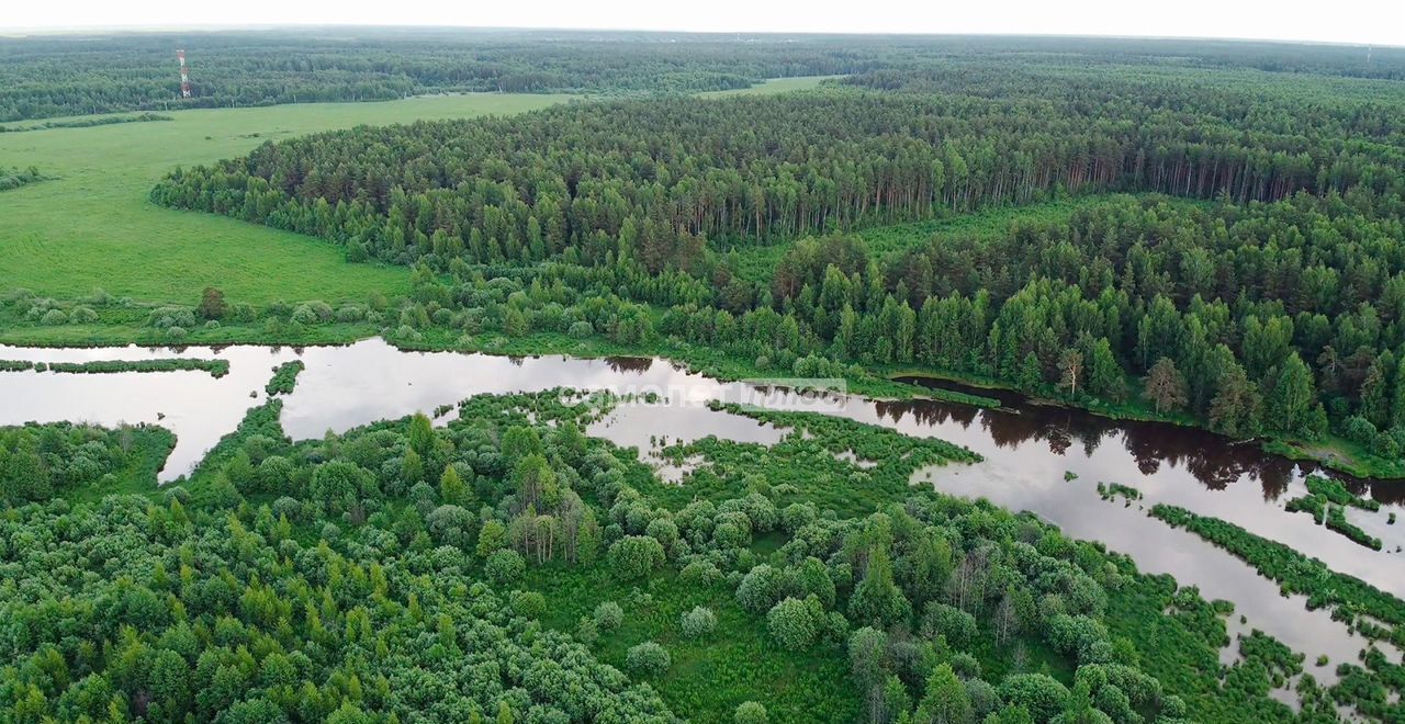 земля городской округ Павловский Посад 55 км, пос. ЛПХ Логинов Лес, Носовихинское шоссе фото 4