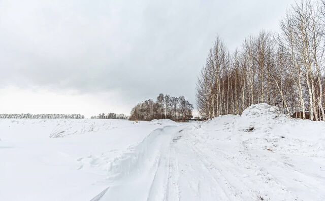 снт Марьин Лог ул 51-я 25 Бердское шоссе фото