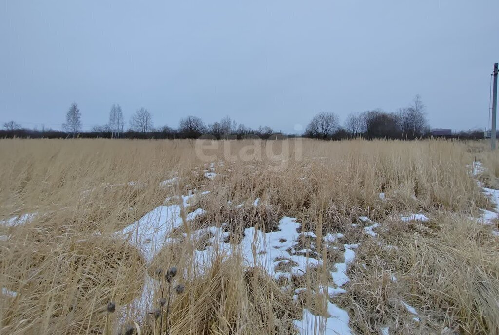 земля городской округ Егорьевск д Бобково фото 2