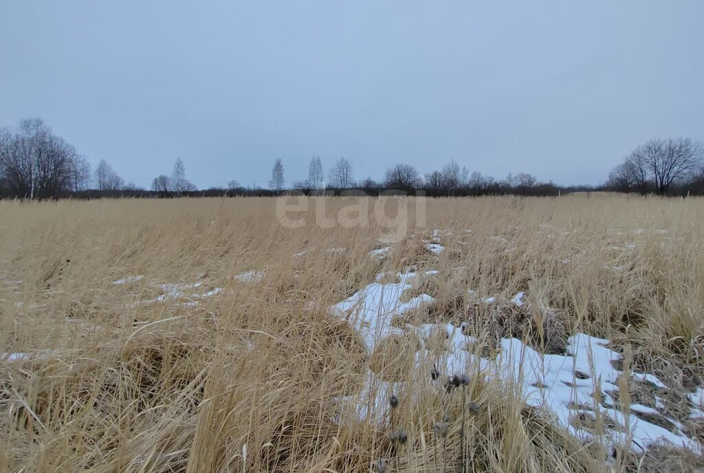 земля городской округ Егорьевск д Бобково фото 3