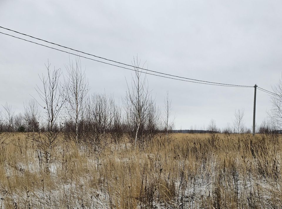 земля городской округ Луховицы п Совхоза Астапово фото 1