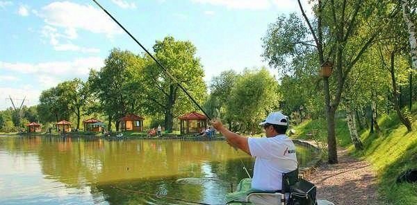 земля г Иркутск р-н Ленинский ул Полярная 2а/1 фото 1