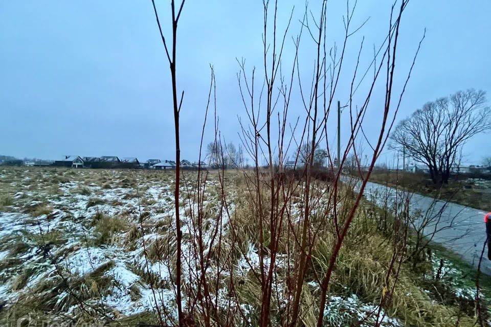 земля р-н Гурьевский пос. Медведевка фото 2