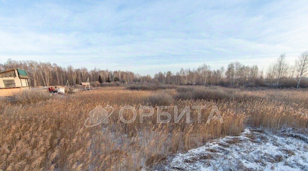 земля г Тюмень снт Фиалка ул. 11-я, 5 фото 2