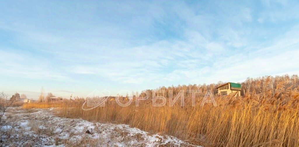 земля г Тюмень снт Фиалка ул. 11-я, 5 фото 5