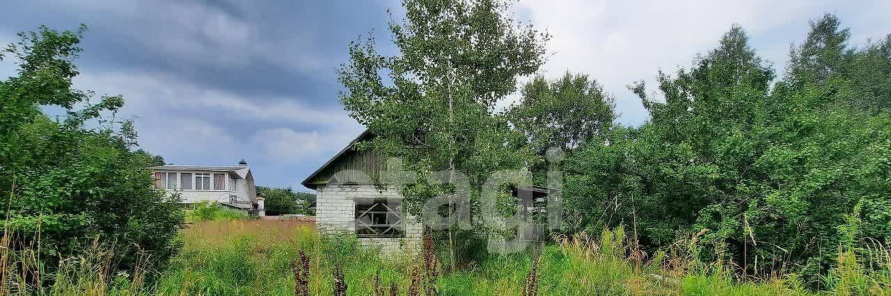 земля р-н Брянский снт Химик Стекляннорадицкое с/пос, СДТ фото 5