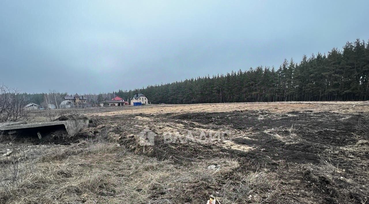 земля г Воронеж р-н Советский Малышево ул Ясногорская 16 фото 1