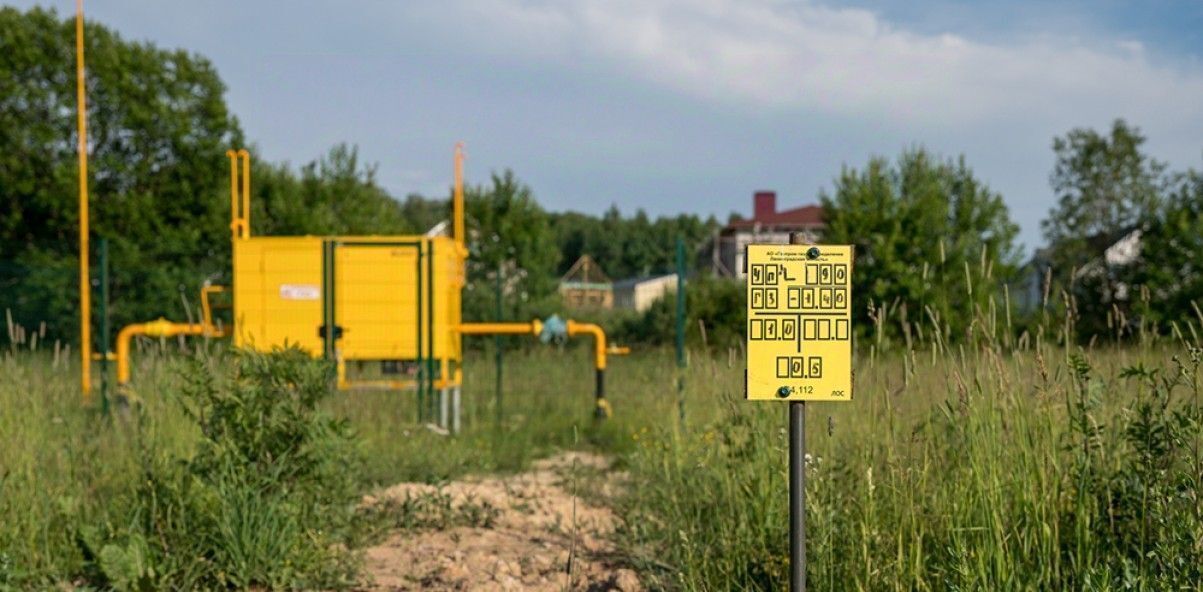 земля р-н Гатчинский д. Горки Веревское территориальное управление, ул. Благодатная фото 8