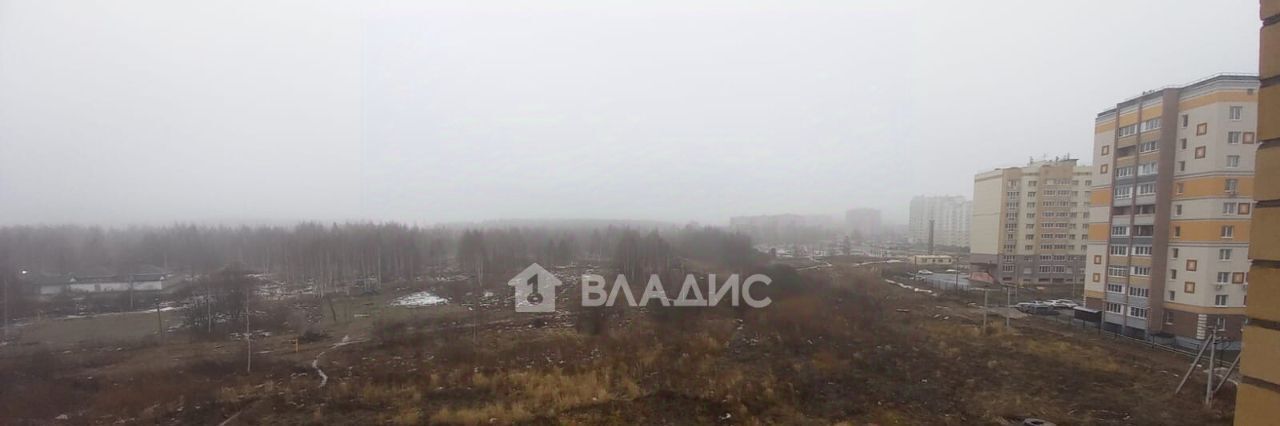 квартира г Владимир р-н Ленинский ул. Родионовка, 14к 3 фото 11