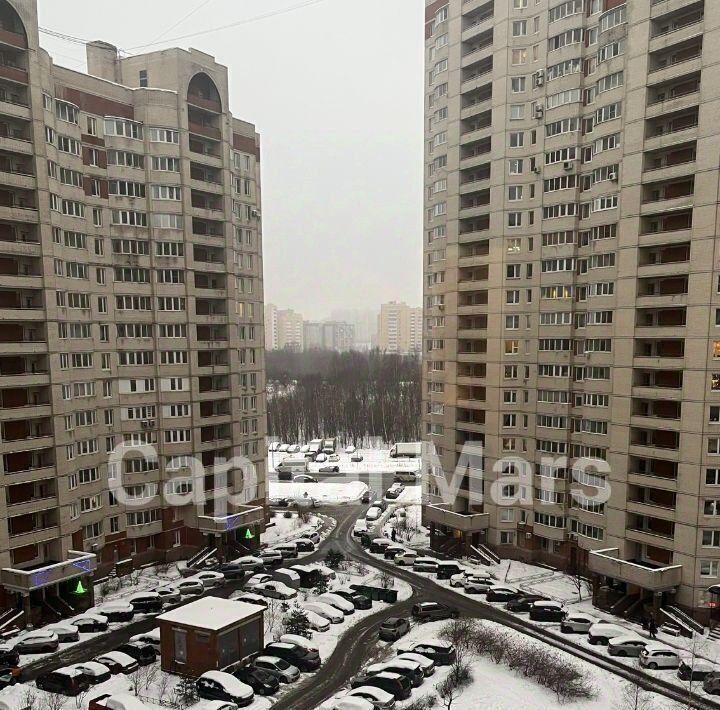 квартира г Санкт-Петербург метро Ладожская р-н муниципальный округ Правобережный ул Латышских Стрелков 15к/3 фото 8