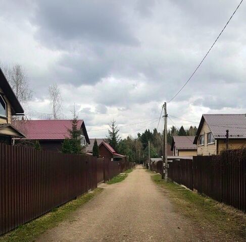 снт Русское Поле 6-я линия, Коллонтай с пос фото