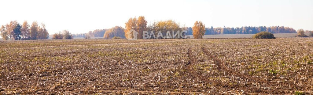 земля р-н Собинский с Бабаево ул Спасская фото 4