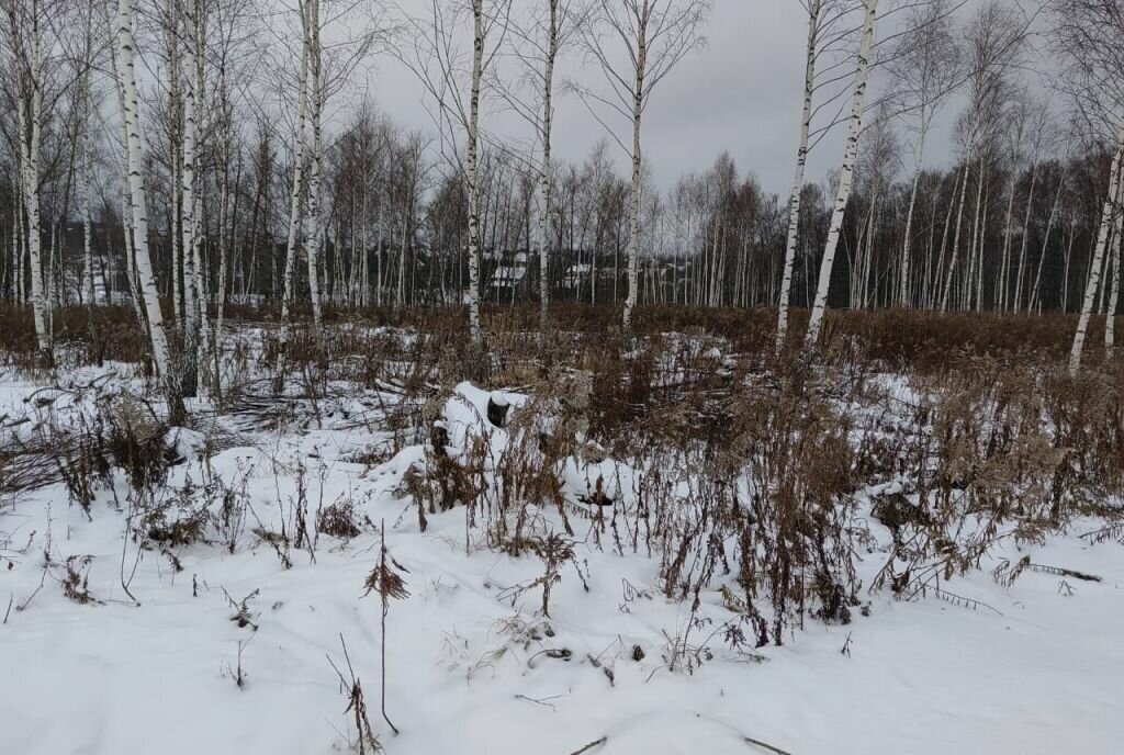 земля городской округ Тула, деревня Фёдоровка фото 1