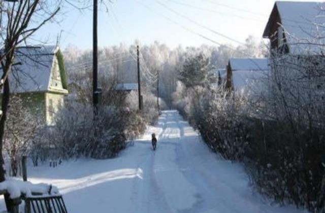 с Ильинка ул Зеленая 10 сельское поселение Ильинка, Хабаровск фото