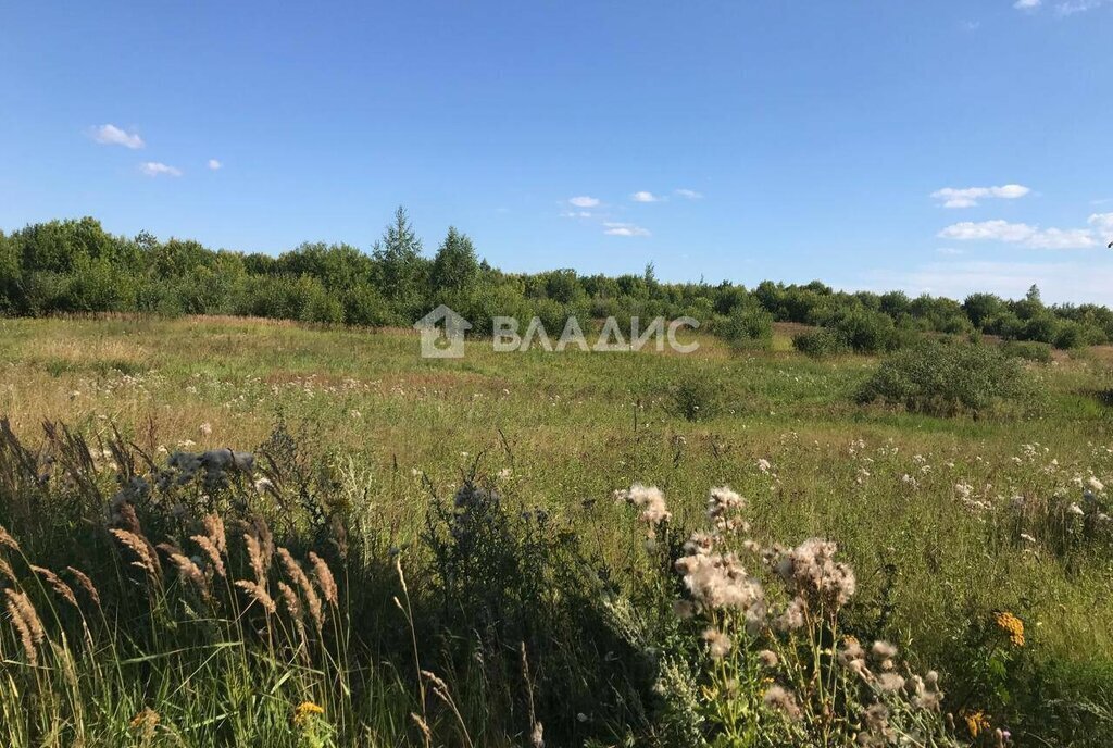 земля р-н Юрьевецкий с Задорожье Соболевское сельское поселение фото 3